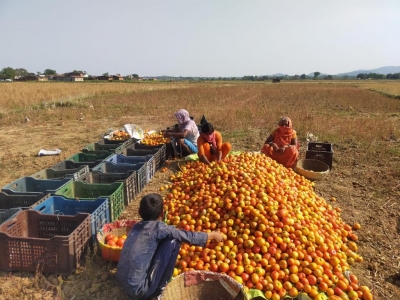 جھارکھنڈ میں 15  لاکھ سے زیادہ کسان نہیں اٹھا سکیں گے  پی ایم کسان اسکیم کا فائدہ