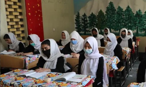 Taliban banned girls from university to take education: طالبان نے افغانستان میں خواتین کو یونیورسٹی کی تعلیم سے کیا دور