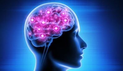 First case of ‘brain-eating ameba’ reported in South Korea: جنوبی کوریا میں ‘دماغ کھانے والے امیبا’ کا پہلا کیس ہوا  رپورٹ