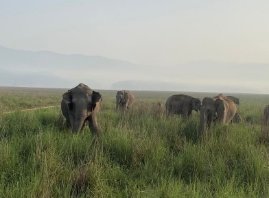 Farmers digging 20 feet deep ditch to stop elephants: ہاتھیوں کو روکنے کے لیے 20 فٹ گہری کھائی کھود رہےکسان
