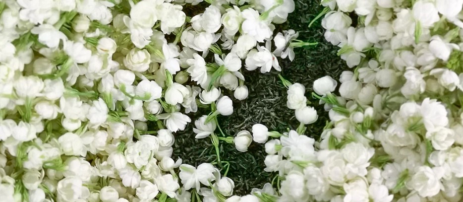 Benefits Of  this Incredible Flower ,Jasmine:  جیسمین پھول، قدرت کا عظیم تحفہ