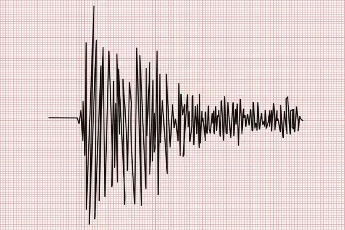 New Zealand Earthquake: نیوزی لینڈ میں زلزلہ کے شدید جھٹکے محسوس کئے گئے، 7.1 شدت کا تھا ریکٹر اسکیل