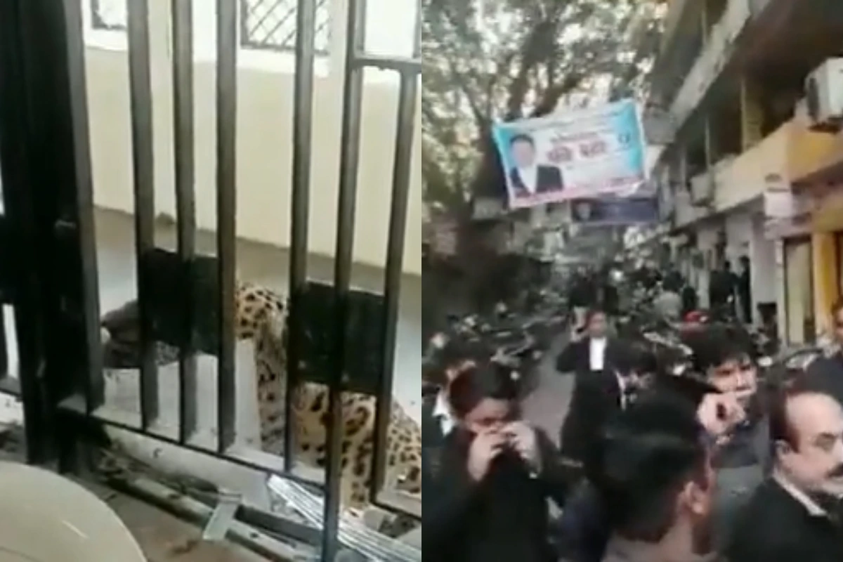 Viral Video: غازی آباد کی عدالت میں تیندوا داخل، ہنگامہ برپا، متعدد افراد زخمی