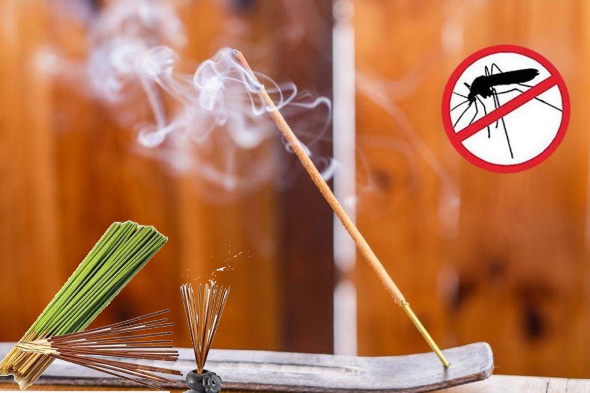 Mosquito repellent sticks: دہلی میں دردناک حادثہ، مچھر مارنے والی اگربتی جلاکر سوئے 6 افراد  کی دم گھٹنے  سے موت