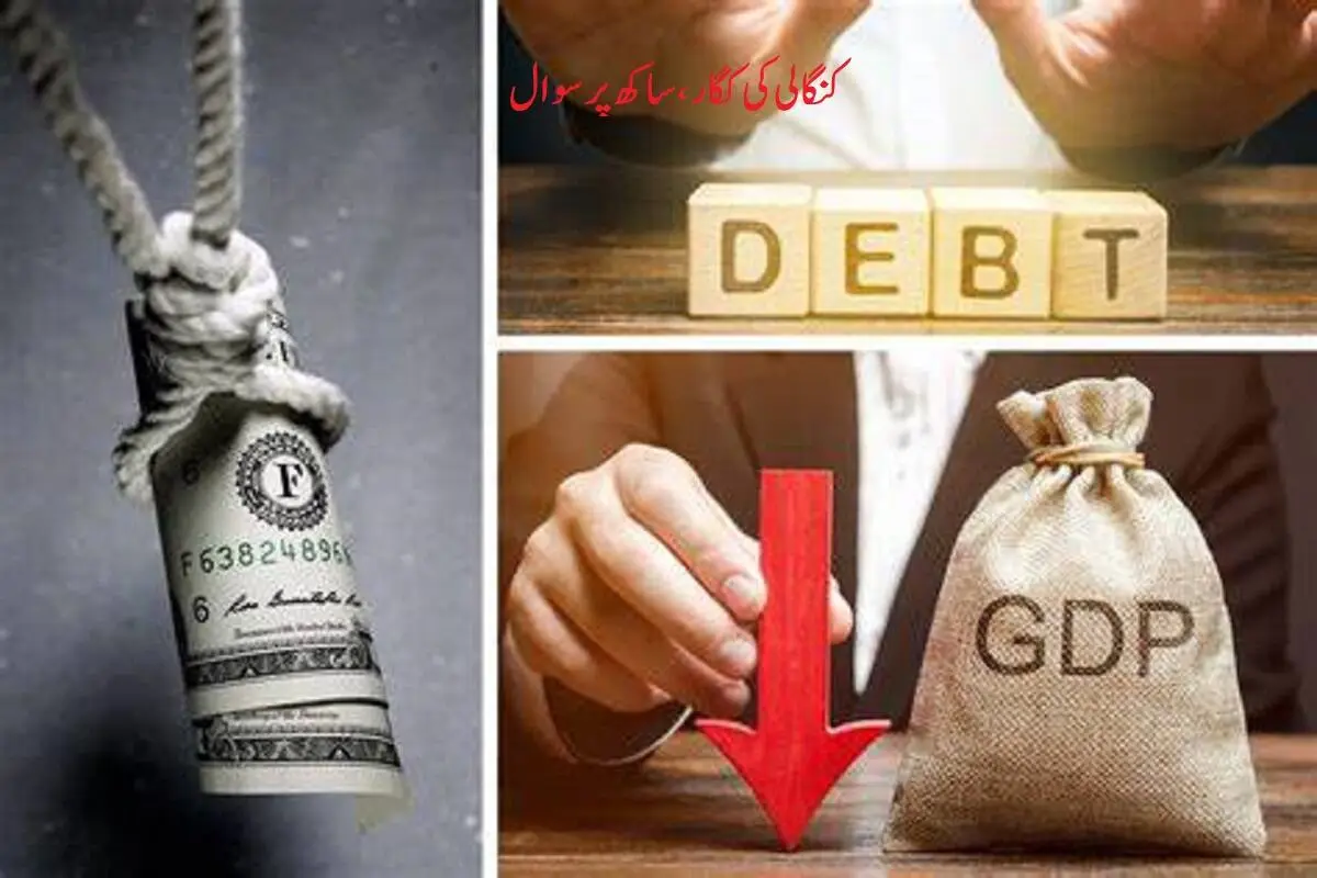 America caught in debt crisis: قرضوں کے بحران میں پھنسا امریکہ-کنگالی کی ڈگر، ساکھ پر تلوار