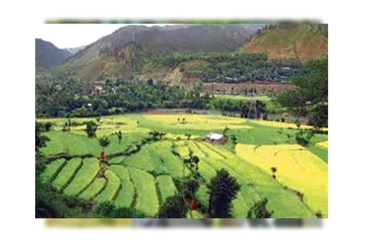 Holistic Agriculture Development Plan: جامع زرعی ترقی کا منصوبہ جموں و کشمیر کی زرعی پیداوار کو دوگنا کر دے گا