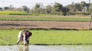 Kisan Sampark Abhiyan: کسان سمپرک ابھیان: جموں و کشمیر میں 80,000 کسانوں نے شرکت کی۔ تین ہفتوں میں 800 پنچایتوں کا احاطہ کیا گیا
