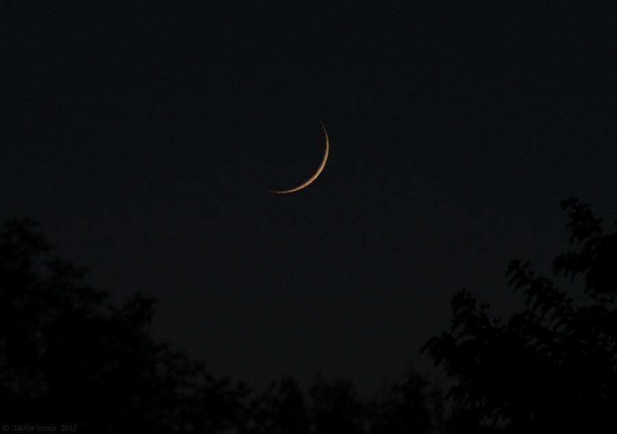 Eid-ul-Adha 2023 moon sighting in Saudi Arabia: سعودی عرب میں نظر آیا ذوالحجہ کا چاند، 28جون کو ادا کی جائے گی عبدالاضحیٰ کی نماز