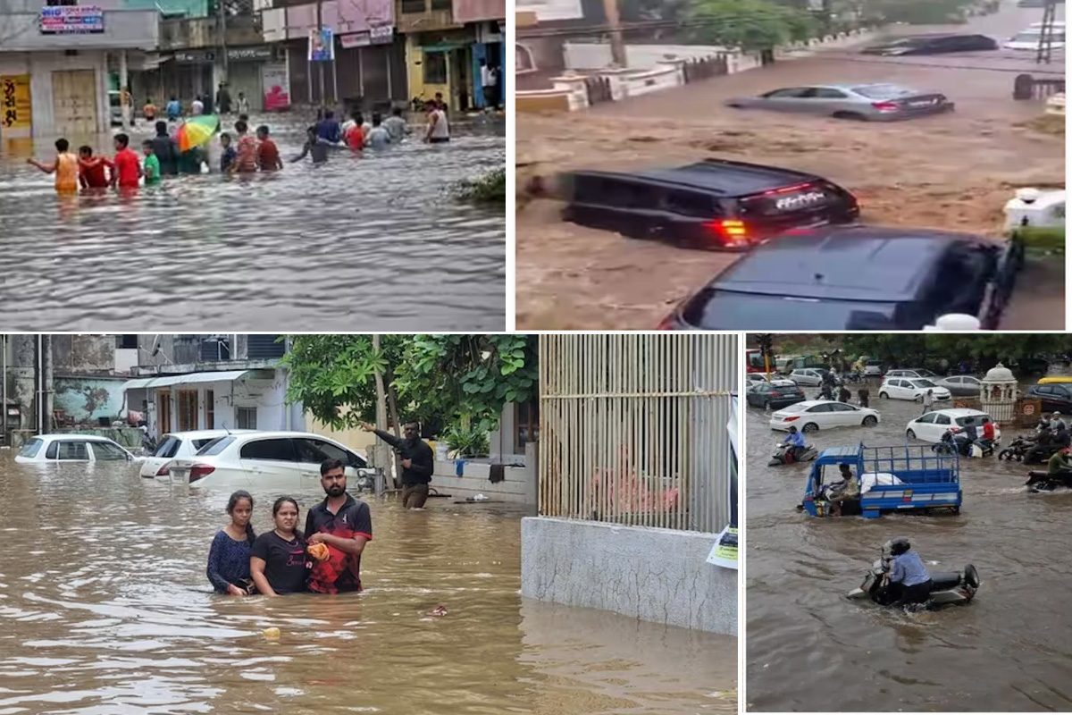 Gujarat Weather Forecast: گجرات میں موسلا دھار بارش کا ‘تانڈو’، کئی جانور سیلاب میں تنکے کی طرح بہہ گئے،دہلی میں بھی ہائی الرٹ