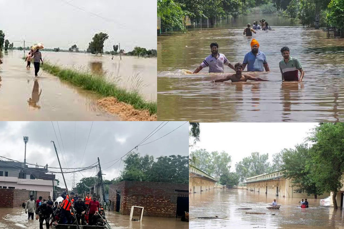 Floods in Punjab: 41 لوگوں کی موت، 1600سے زیادہ لوگ شیلڈر ہاؤس میں رہنے کو مجبور