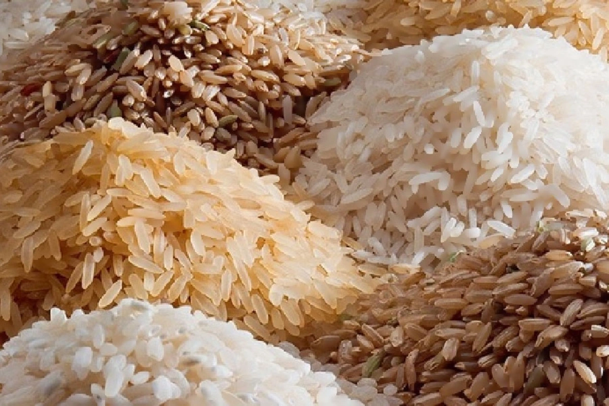 India may ban 80% rice exports: چاول کی برآمدات پر بھارت سرکار کی نئی منصوبہ بندی سے گلوبل مارکیٹ کا گُھٹ سکتا ہے دم!