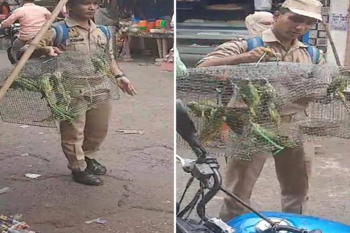 UP Police Constable’s Viral Video: پنجرے میں بند پرندوں کا درد سمجھتا ہے یوپی پولیس کا یہ کانسٹیبل، اپنے پیسے خرچ کرکے کراتا ہے آزاد، نیک کام کے لیے ایس پی سے ملا انعام