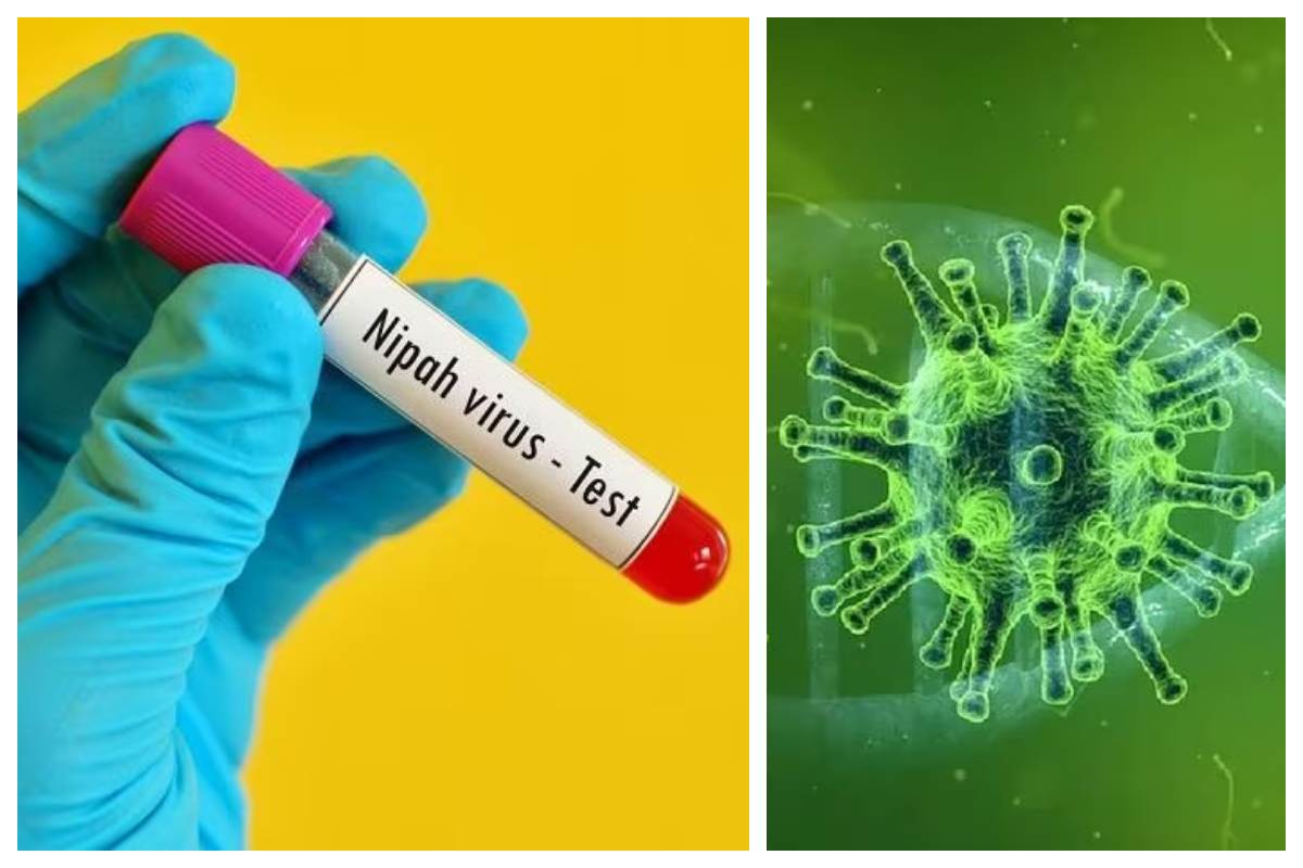 Nipah virus in North Kerala: شمالی کیرلہ میں مسلسل بڑھ رہے ہیں نپاہ وائرس کے کیسز، انفیکشن کی وجہ سے کوزی کوڈ کے تعلیمی اداروں میں دو دن کی چھٹی