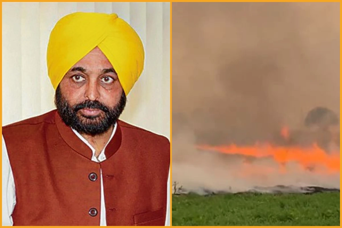NGT Criticized the Punjab Government: پرالی جلانے کے حادثہ پر این جی ٹی نے لیا از خود نوٹس، پنجاب حکومت کو لگائی پھٹکار