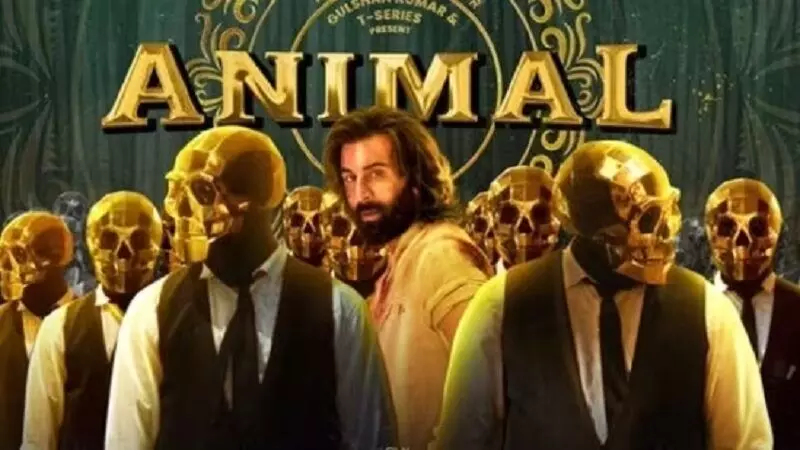 Animal Box Office Collection: اینیمل کی بمپر کمائی کے درمیان لفظ ‘الفا میل’آخر کیوں زیر بحث ہے؟