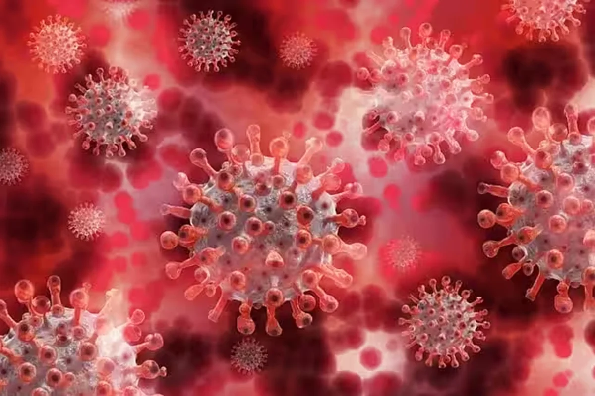 Coronavirus JN.1 Sub Variant: ملک کی تین ریاستوں میں پھیل چکا ہے کورونا کا خطرناک سب ویرینٹ، بڑھتے کیسز نے بڑھائی دل کی دھڑکنیں