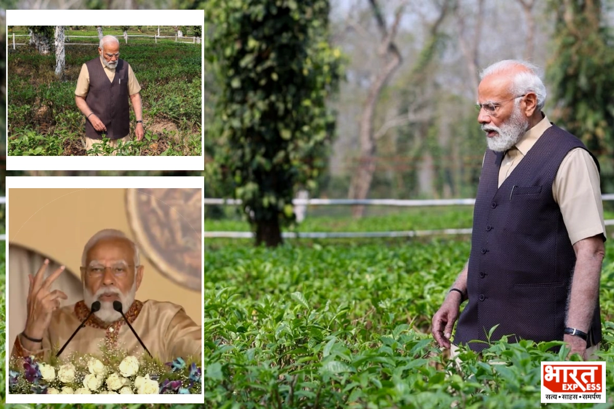 PM Modi Visit Assam: آسام کی تازہ چائے نے پوری دنیا میں اپنی پہچان بنالی ہے، سیاح یہاں کے باغات ضرور دیکھیں – وزیر اعظم مودی