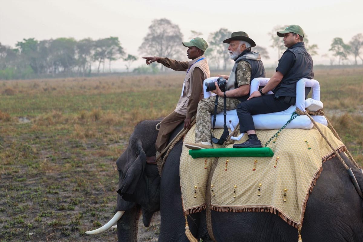 Modi in Kaziranga: پی ایم مودی صبح سویرے کازیرانگا پارک پہنچے، جنگل سفاری کے دوران ہاتھی پر ہوئے سوار ، کلک کی تصاویر