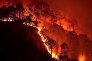 Uttarakhand Forest Fire: نینی تال کے جنگلات میں لگی آگ، رہائشی علاقوں کو خطرہ، فضائیہ کے ایم آئی 17 سے پانی کا چھڑکاؤ