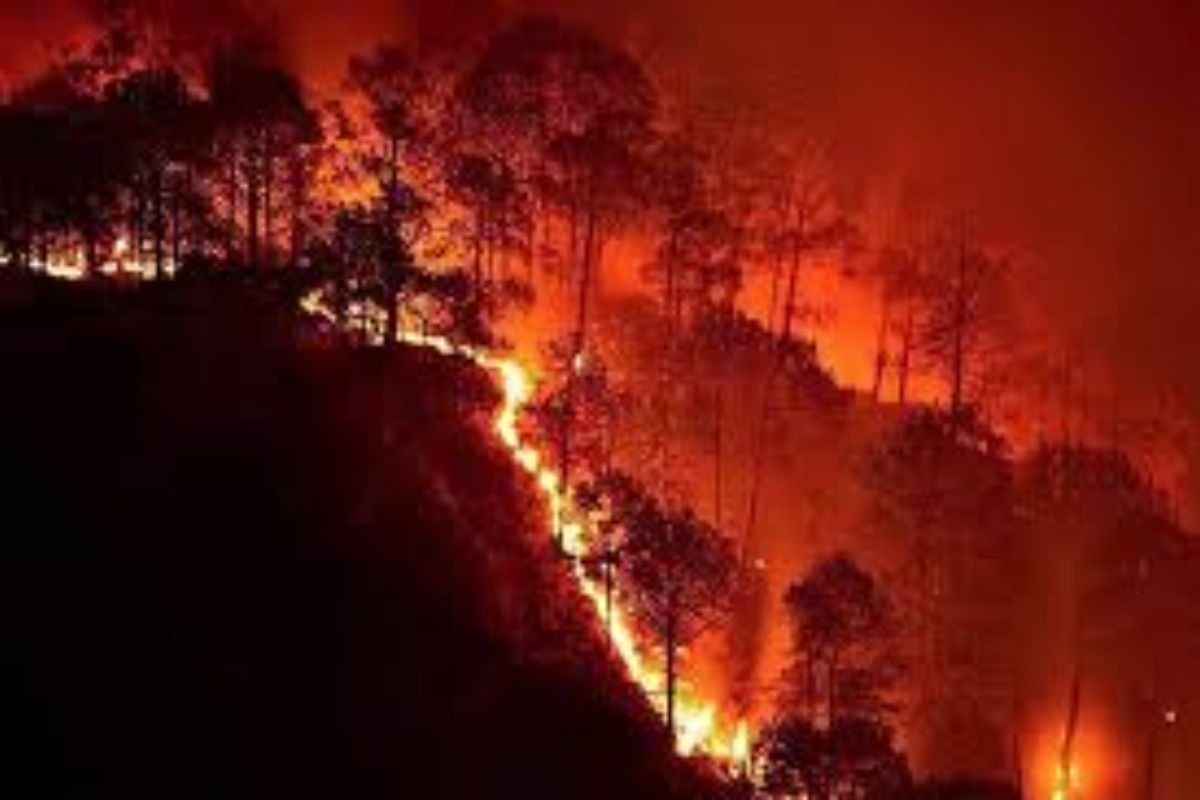 Uttarakhand Forest Fire: اتراکھنڈ کے جنگلات میں لگی آگ سے جاری ہے تباہی، اب تک 5 ہلاک، سی ایم دھامی نے دی سخت ہدایات