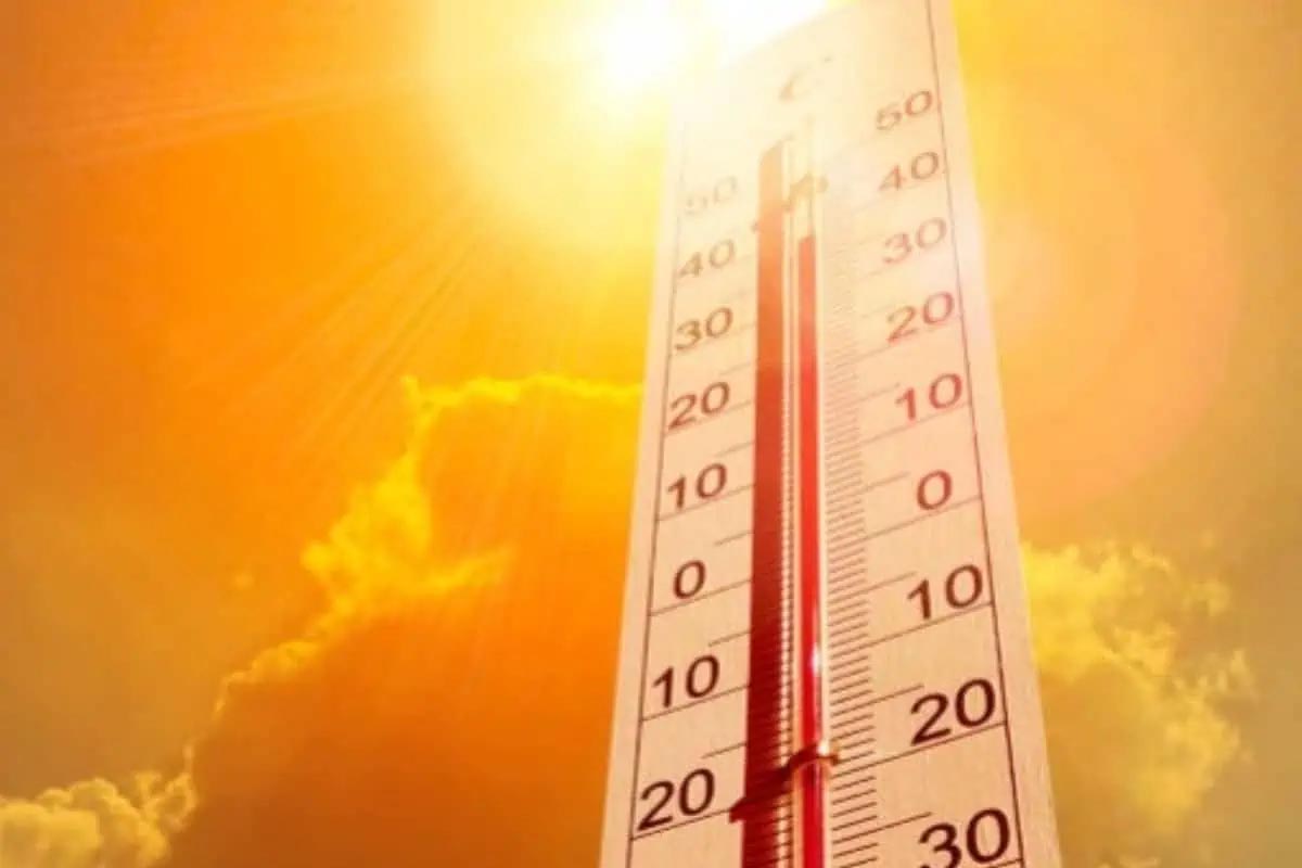 Delhi Heatwave: کورٹ روم میں اے سی اور کولر کی سہولت نہ ہونے کی وجہ سے این ڈی ایم آر سی نے کیس کی سماعت نومبر تک ملتوی کی