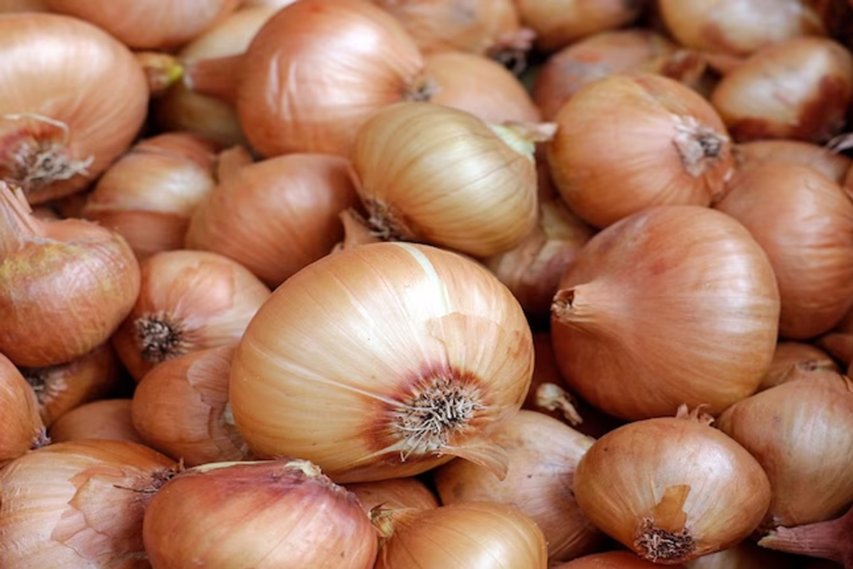 Onion Export: برآمدات پر پابندی میں ان 6 ممالک کو 1 لاکھ ٹن پیاز بھیجے گا ۔ہندوستان، سفید پیاز کے لئے بھی منظوری دی