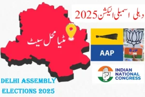 Delhi Elections 2025: مسلم اکثریتی مٹیا محل میں ’امیدوار‘ اہم، بی جے پی اورکانگریس کیلئے ’عآپ‘ بڑا چیلنج