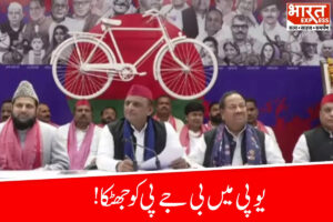 BJP Leader Ram Asre Kushwaha Joins SP: اتر پردیش میں بی جے پی سے الگ ہوئے رام آسرے کشواہا، 13 سال بعد سماج وادی پارٹی میں واپسی BJP Leader Ram Asre Kushwaha Joins SP: اتر پردیش میں بی جے پی سے الگ ہوئے رام آسرے کشواہا، 13 سال بعد سماج وادی پارٹی میں واپسی